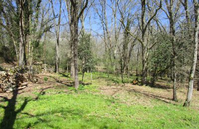 L'environnement du gîte