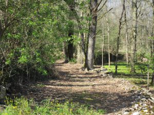 Bois et jardin