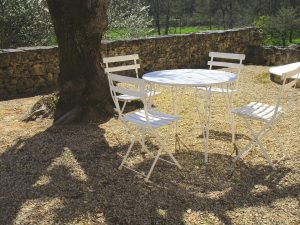 Coin repas ombragé